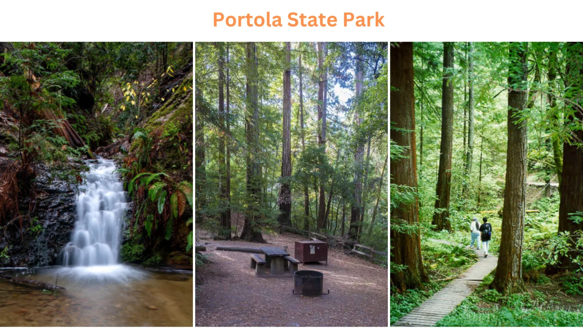 Portola State Park