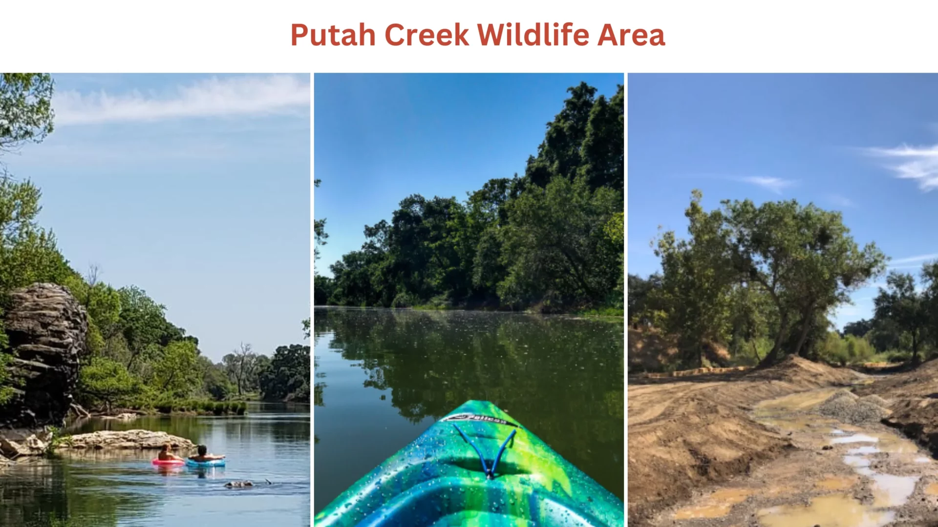 Putah Creek Wildlife Area