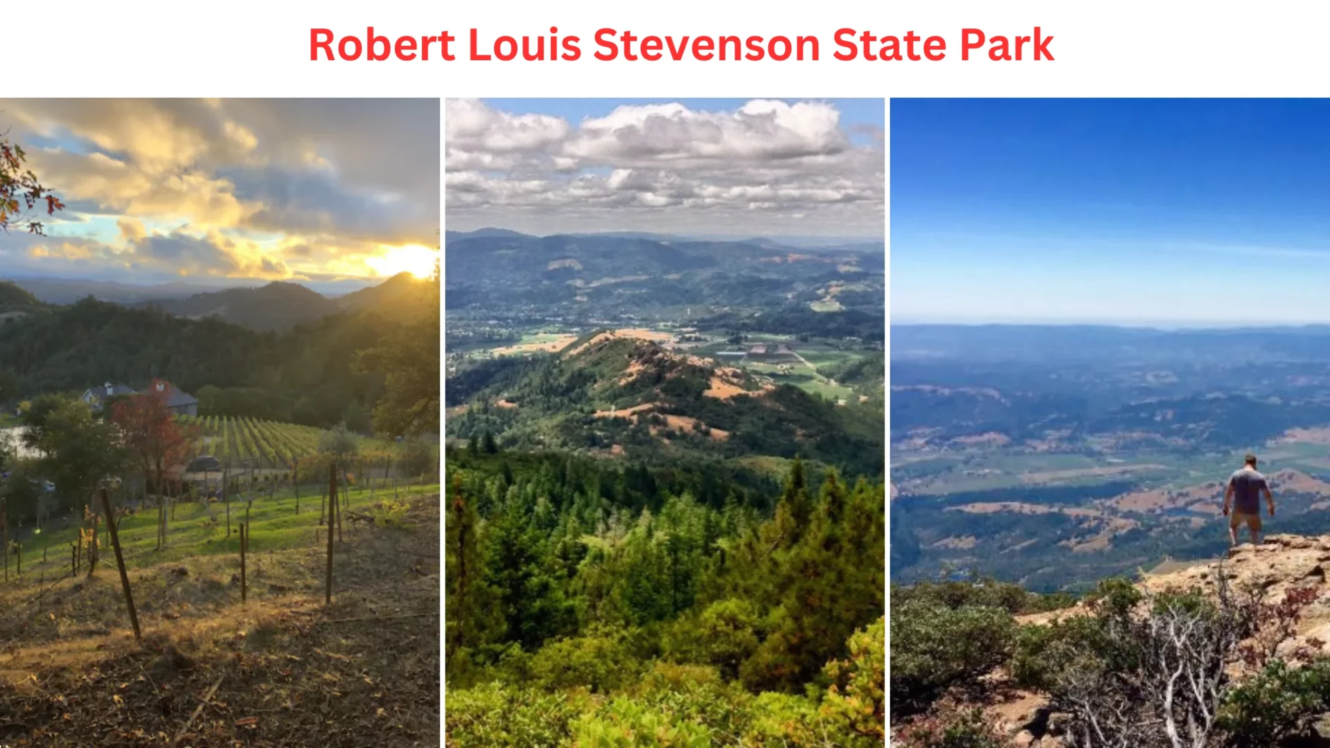 Robert Louis Stevenson State Park