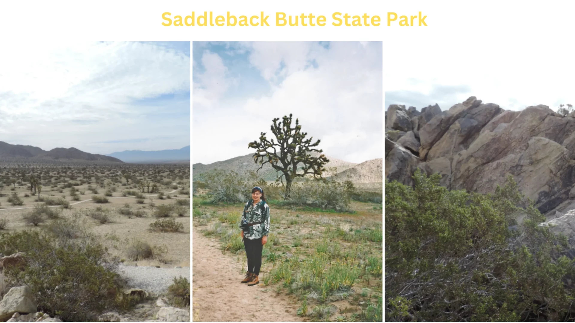 Saddleback Butte State Park