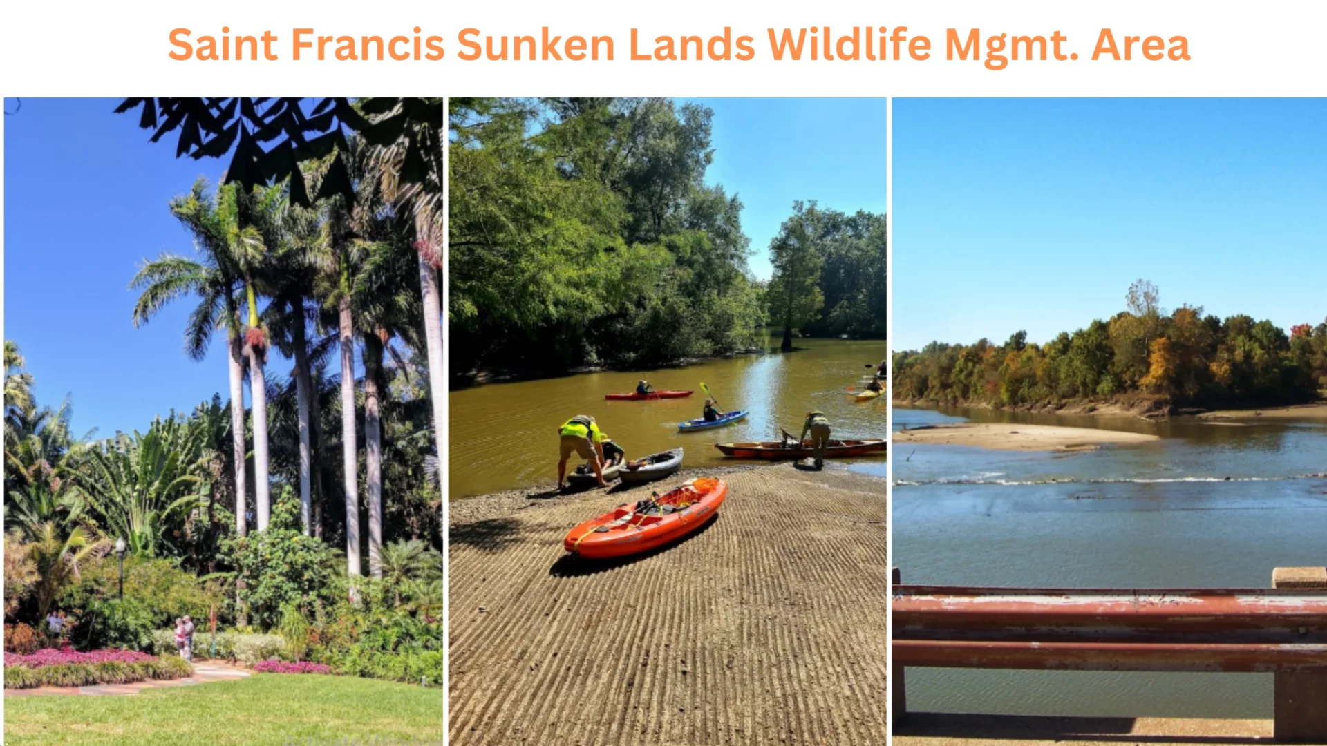 Saint Francis Sunken Lands Wildlife Mgmt. Area