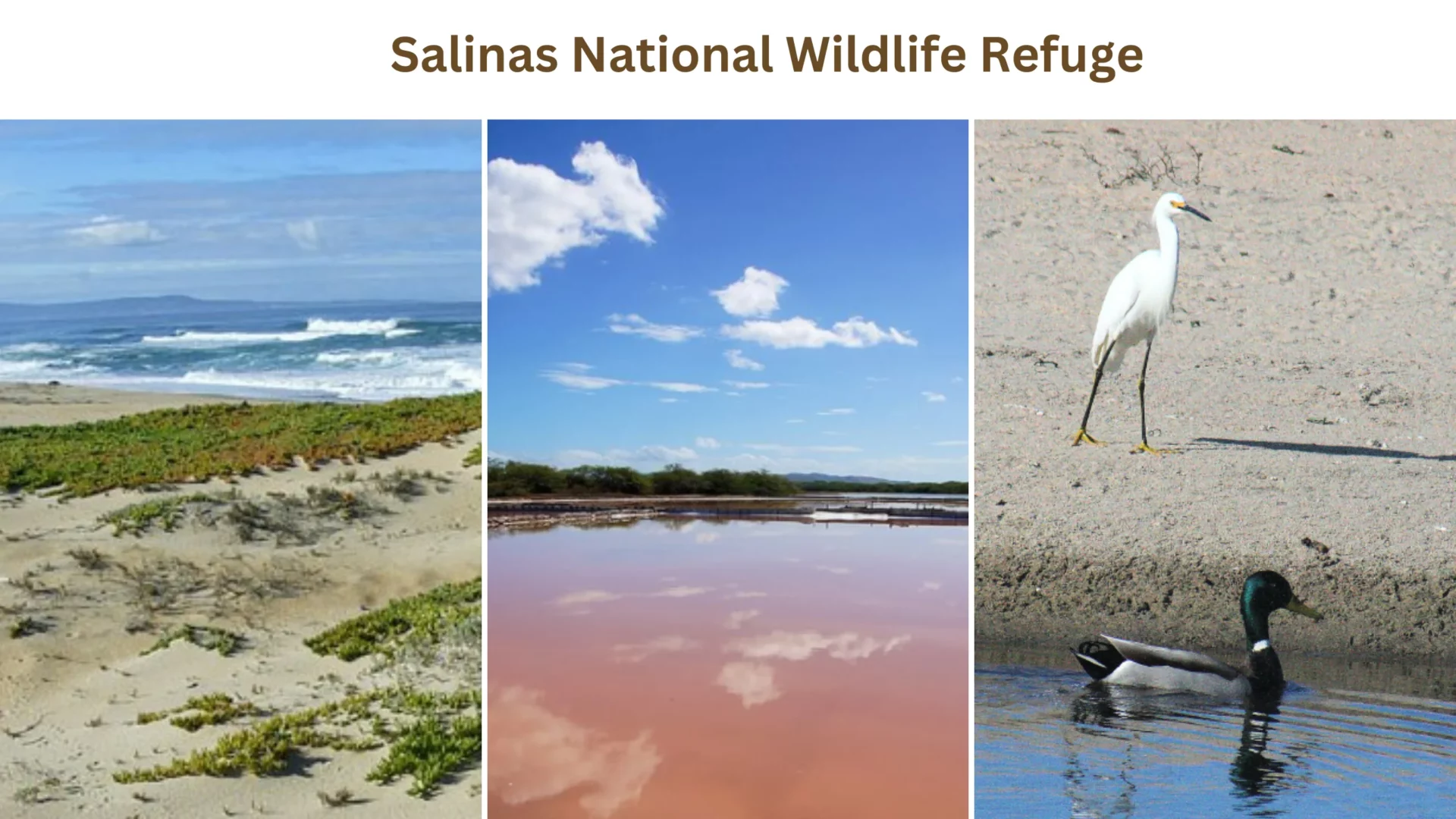 Salinas National Wildlife Refuge