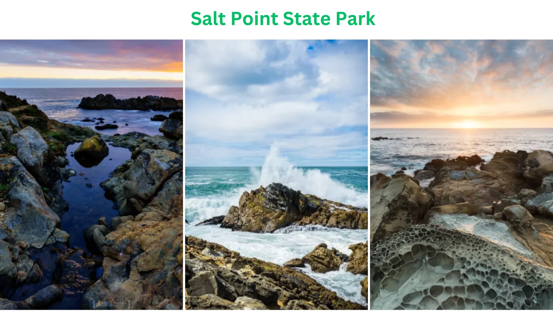 Salt Point State Park