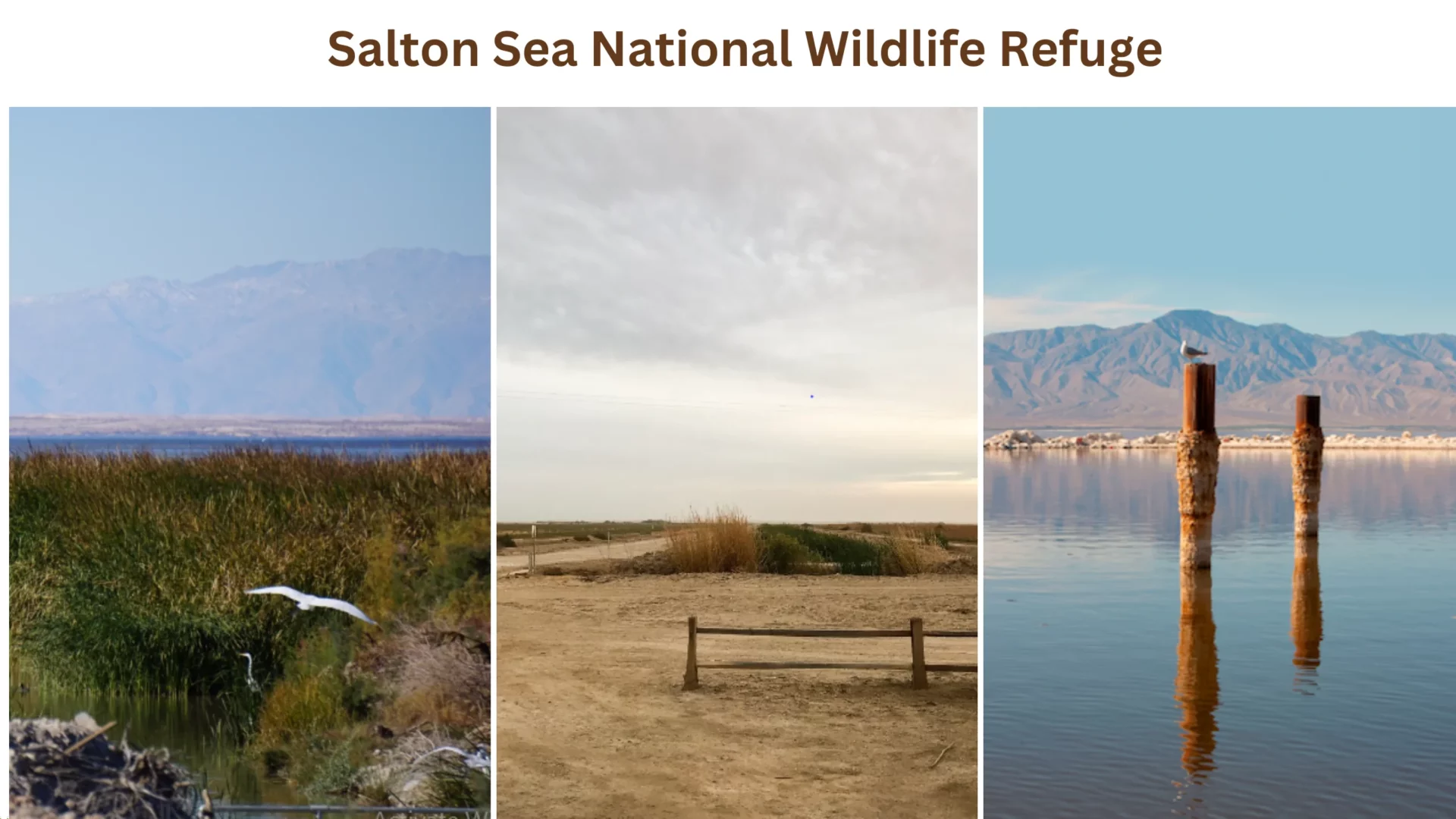 Salton Sea National Wildlife Refuge