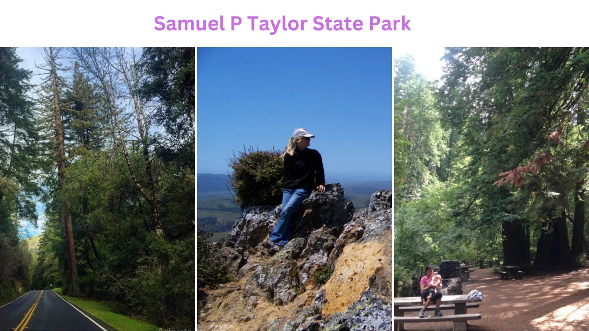 Samuel P Taylor State Park