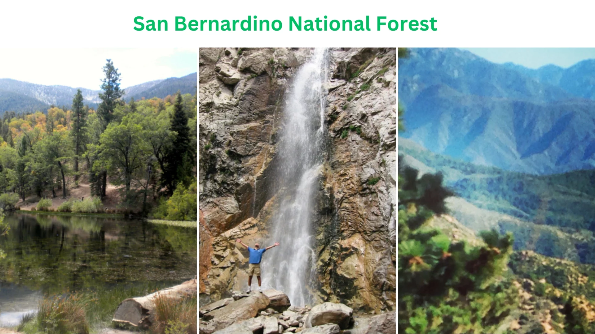 San Bernardino National Forest