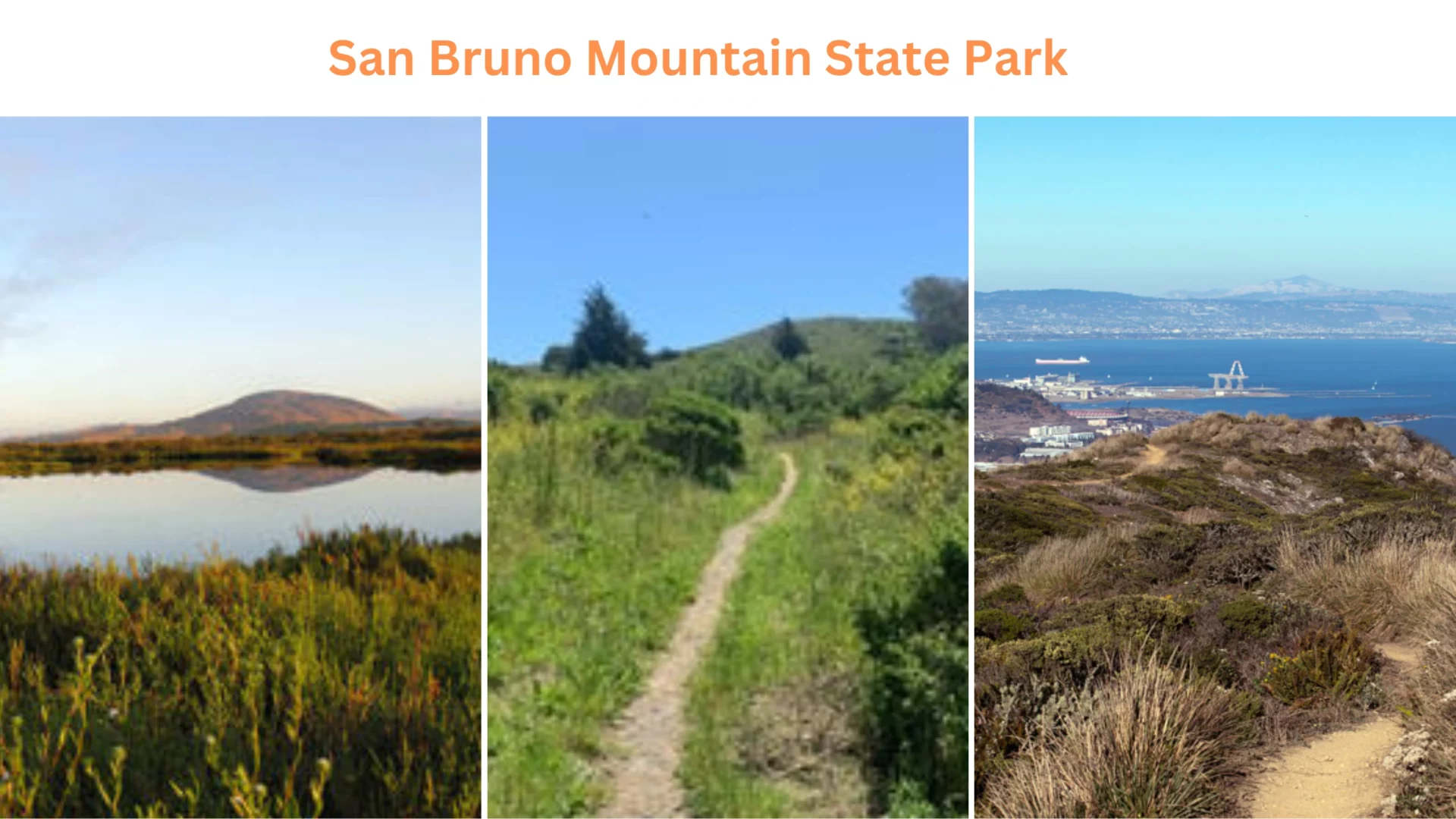 San Bruno Mountain State Park