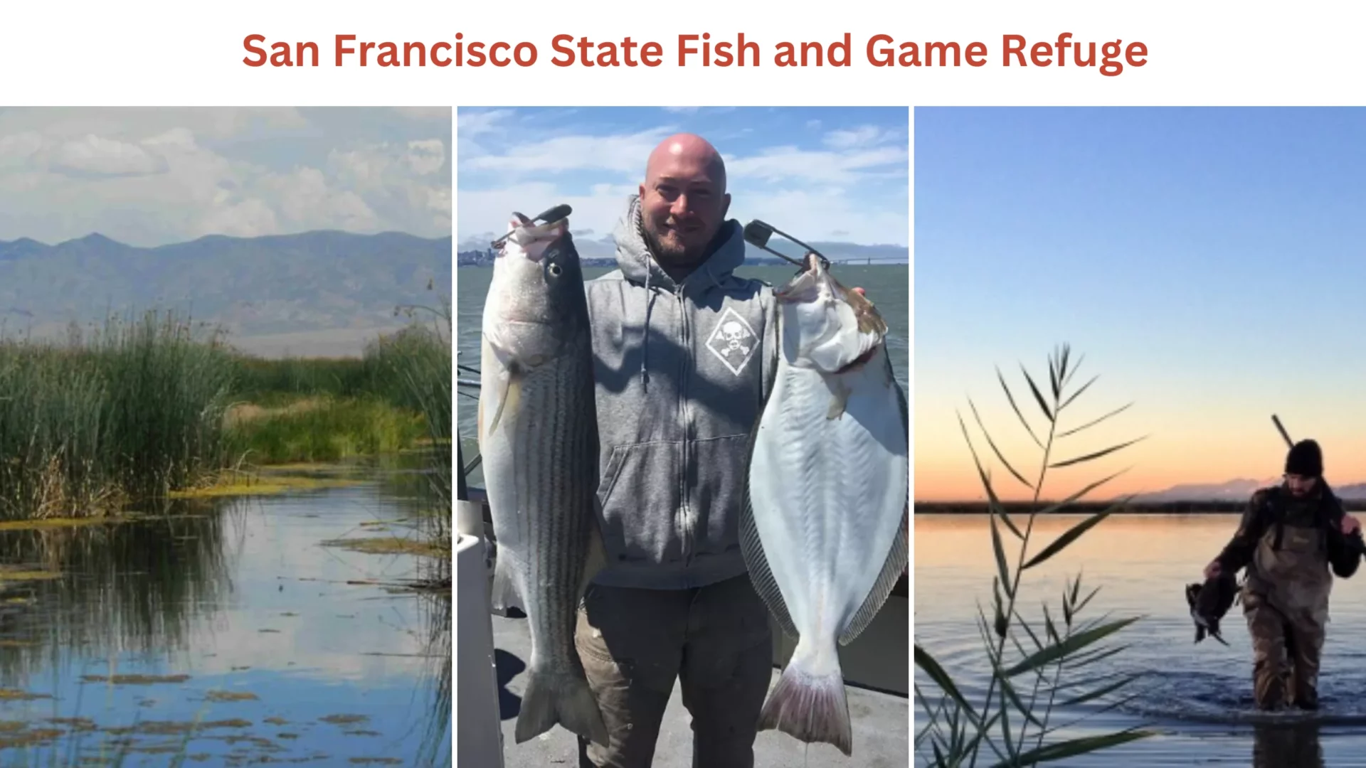 San Francisco State Fish and Game Refuge