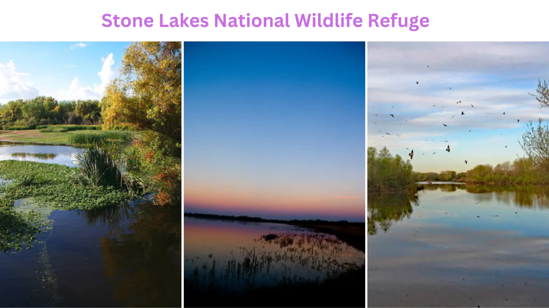 Stone Lakes National Wildlife Refuge