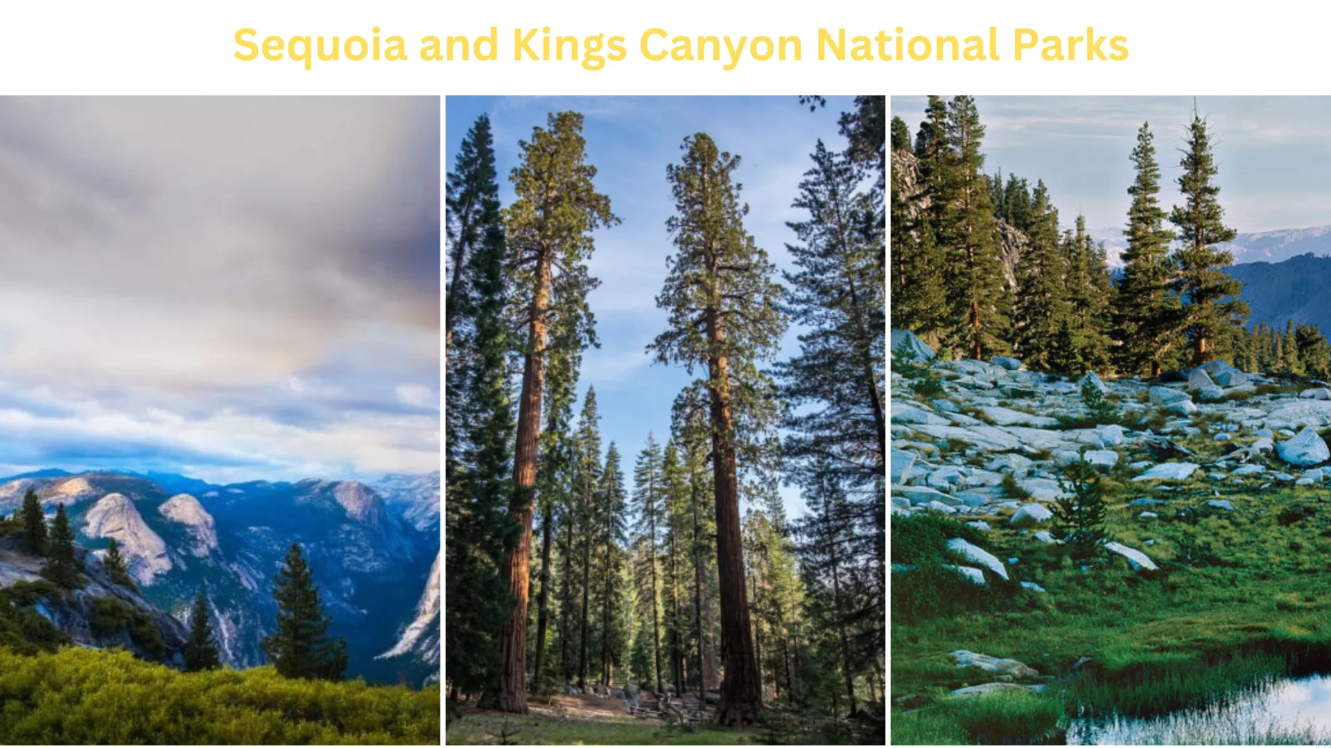 Sequoia and Kings Canyon National Parks