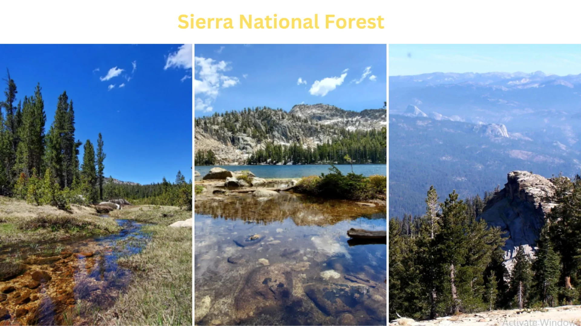 Sierra National Forest