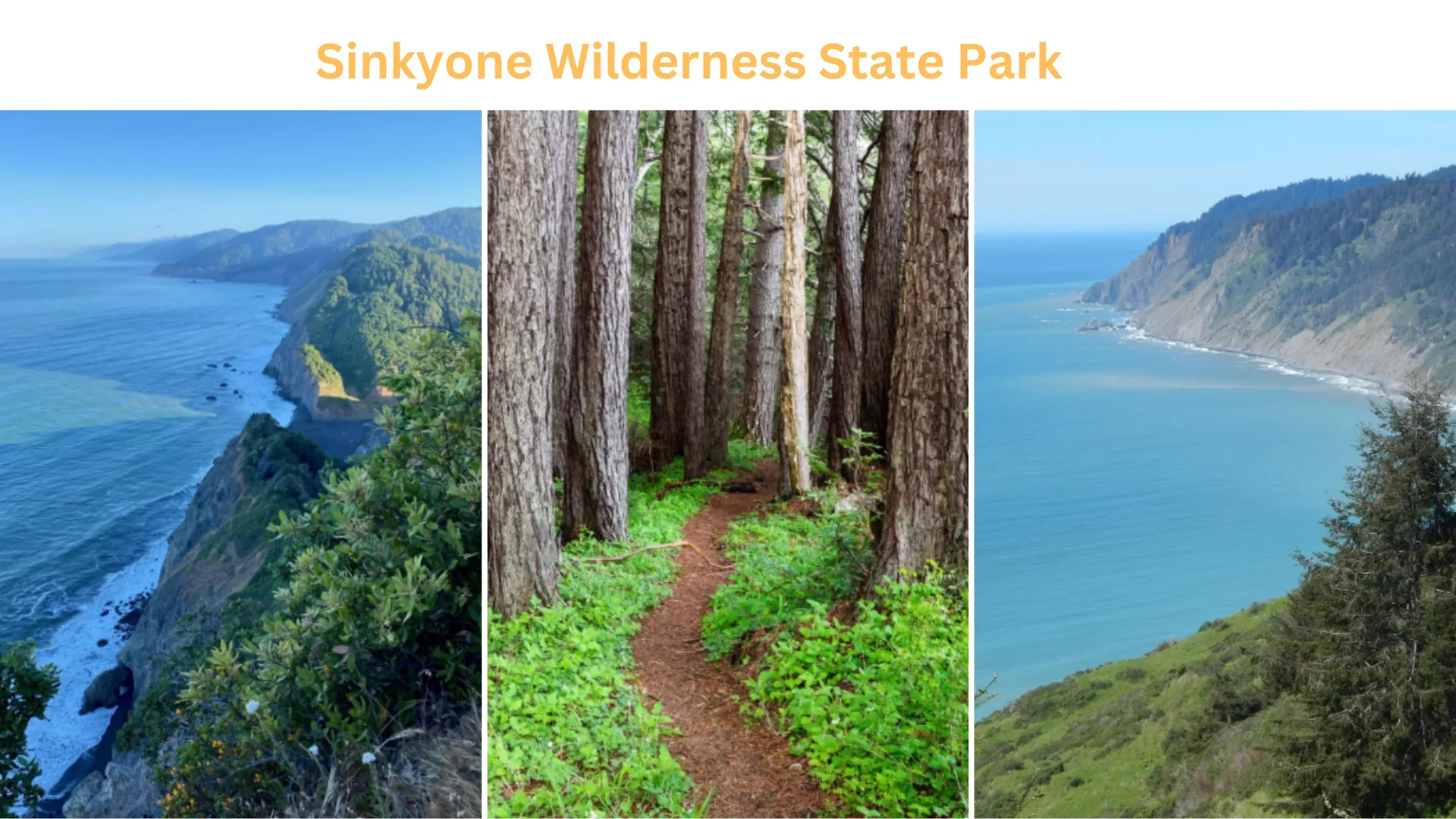 Sinkyone Wilderness State Park