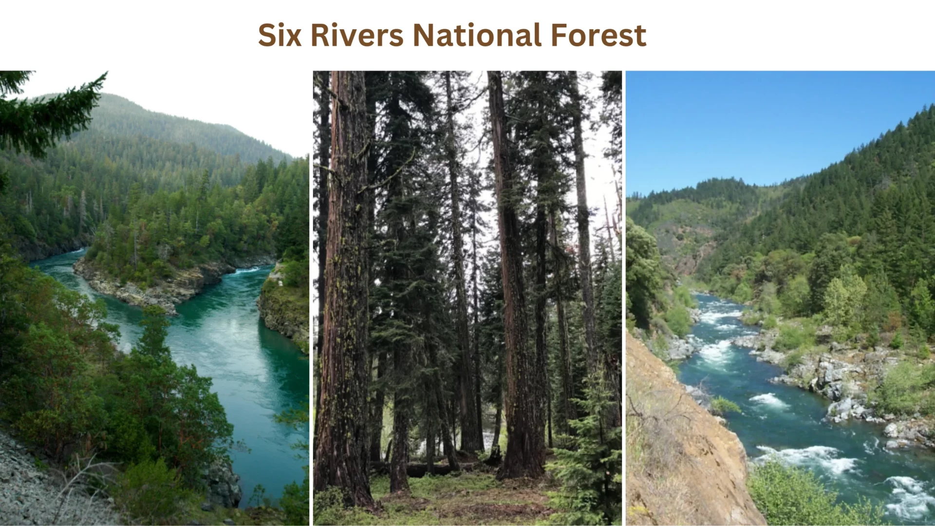 Six Rivers National Forest