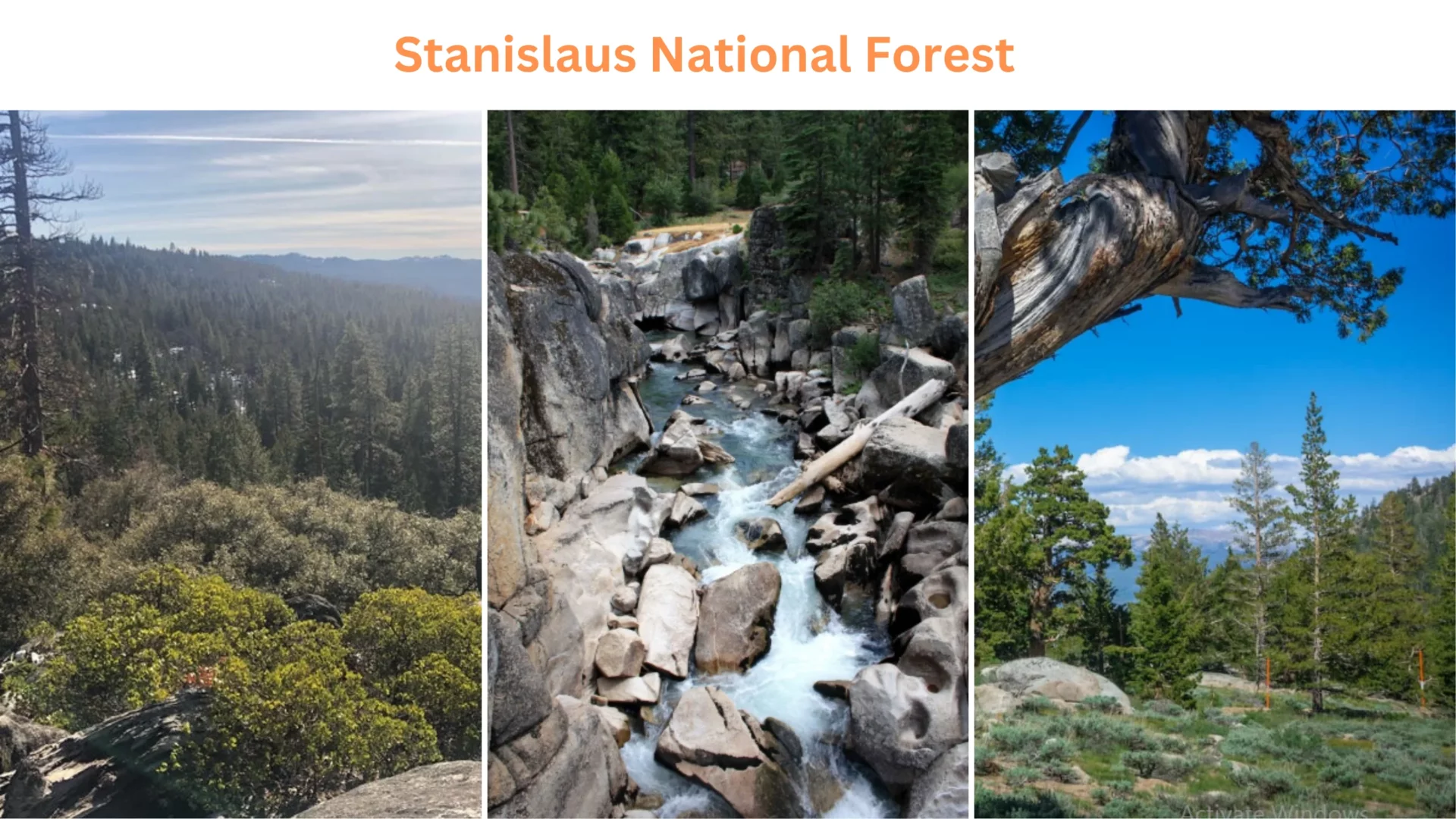 Stanislaus National Forest