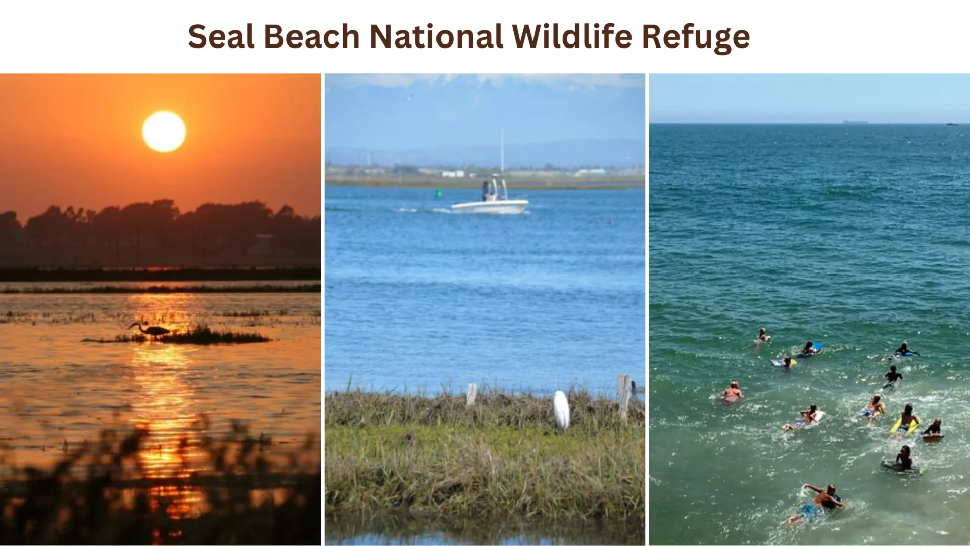 Seal Beach National Wildlife Refuge