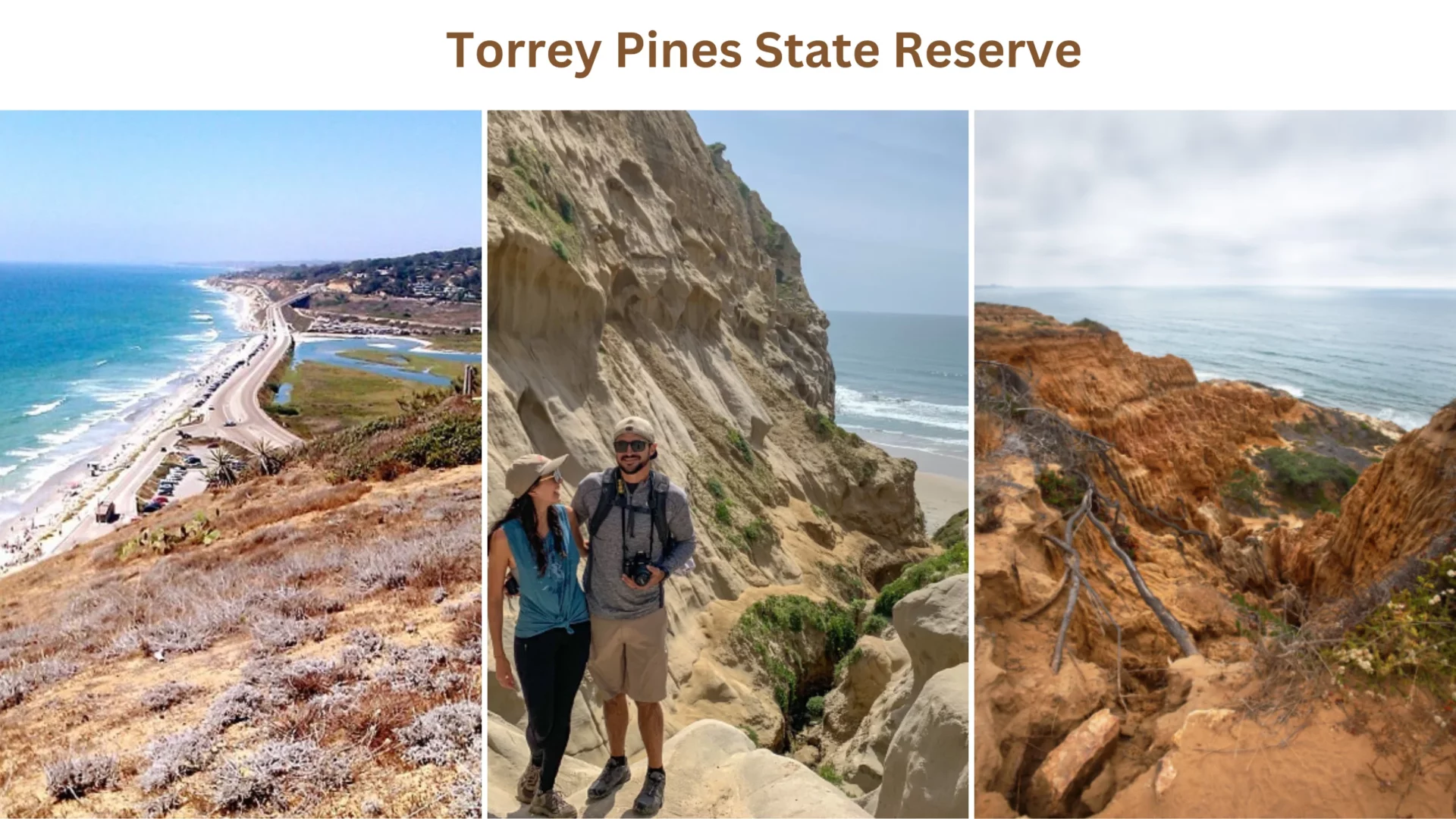 Torrey Pines State Reserve