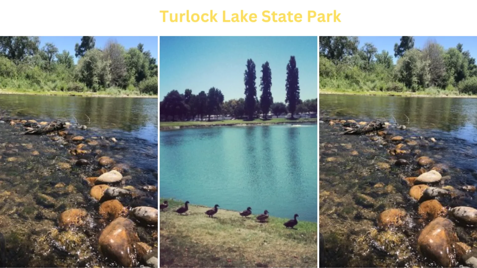 Turlock Lake State Park