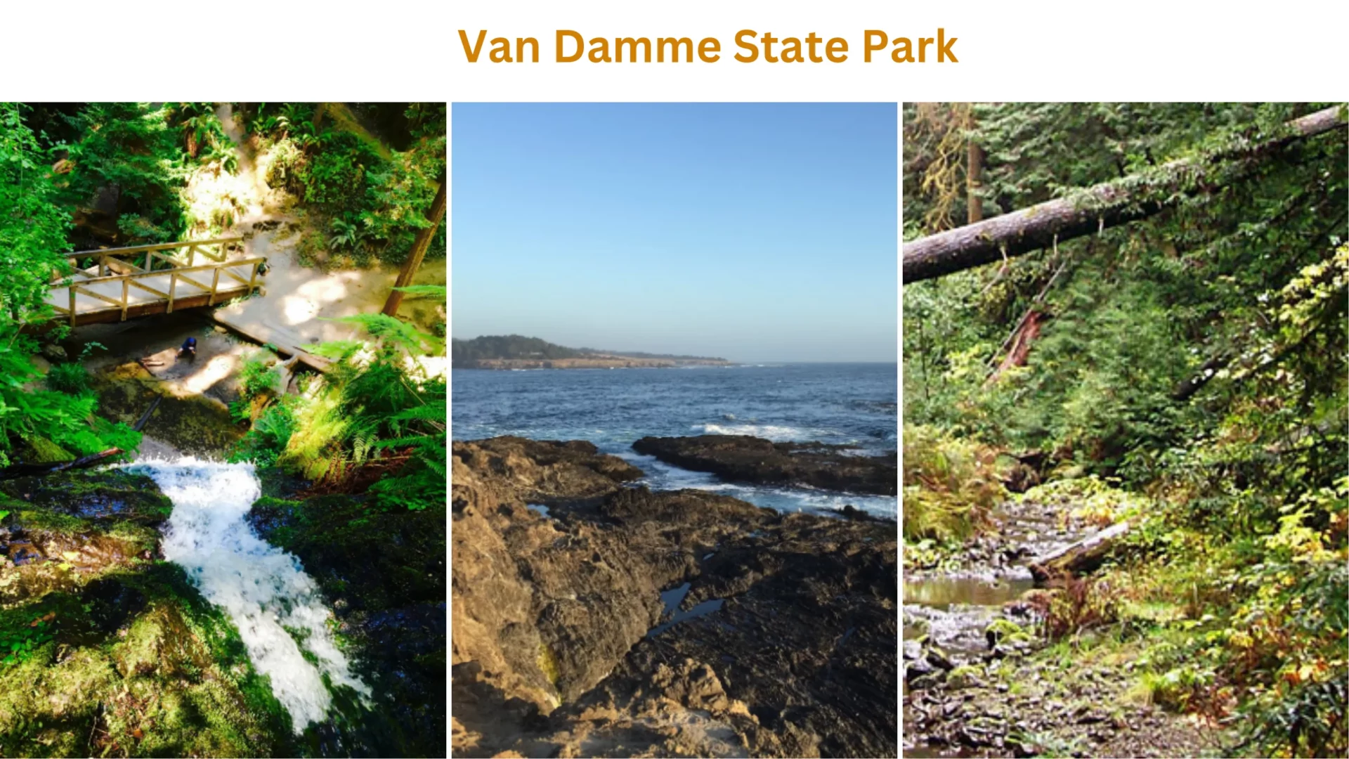 Van Damme State Park