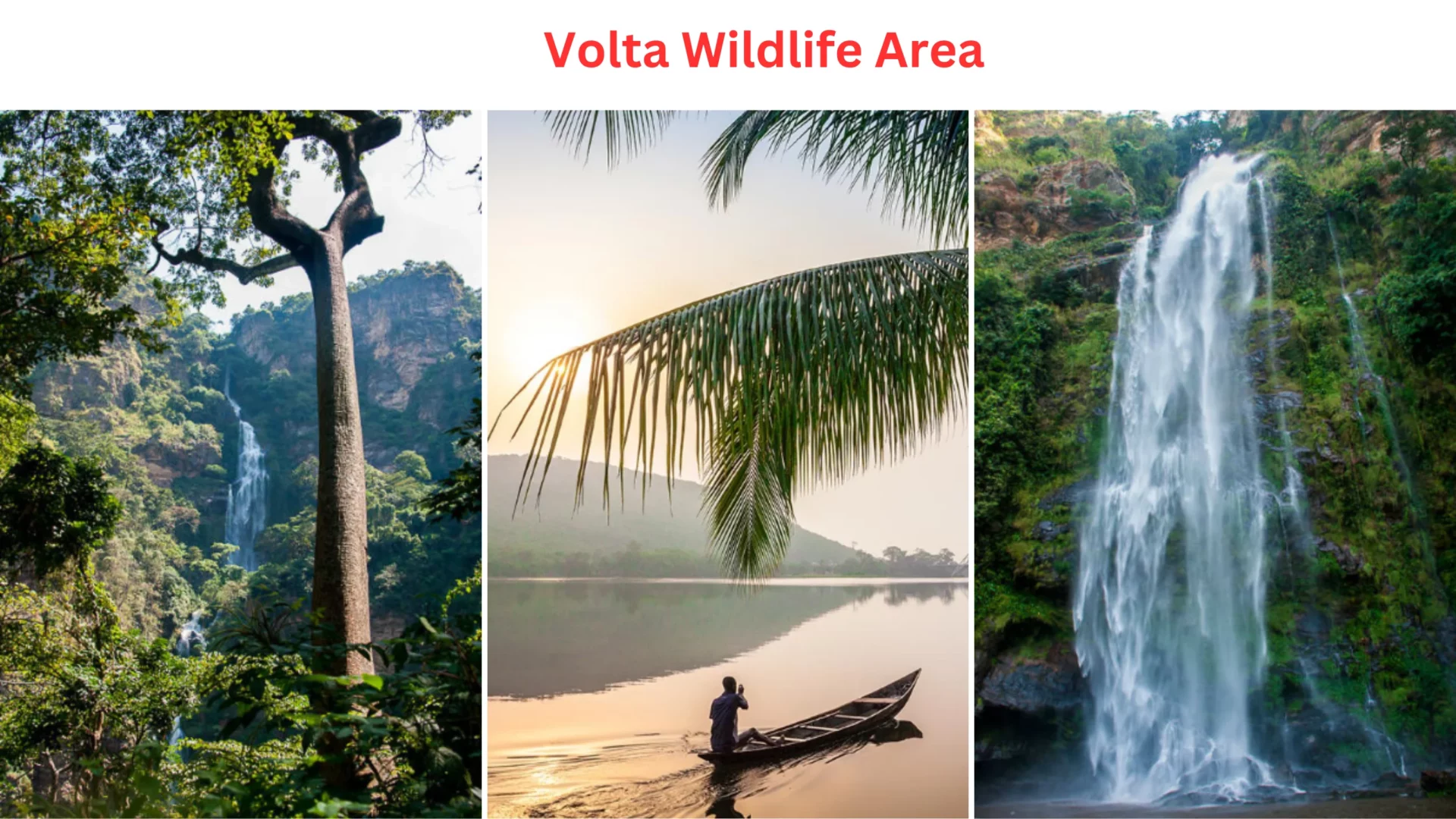 Volta Wildlife Area